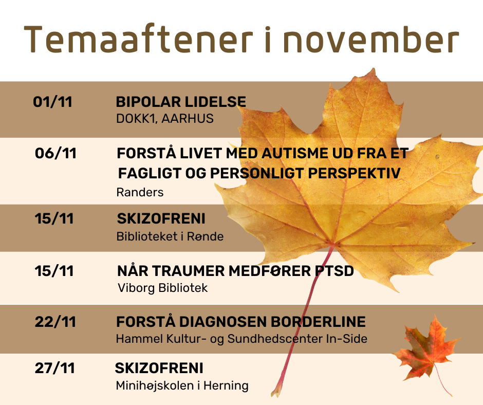 Temaaftener i November